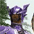 Never before has purple armor been as cool or manly as in FFXI